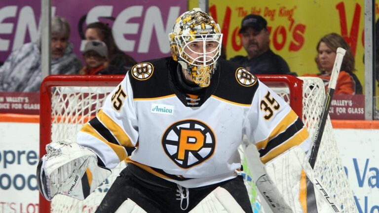 Boston Bruins Bid Farewell to: Boston Bruins newly signed player has decided not to continue with them Due to……….