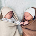 images-2024-08-25T104304.729-2
