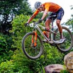 images - 2024-08-29T070450.374