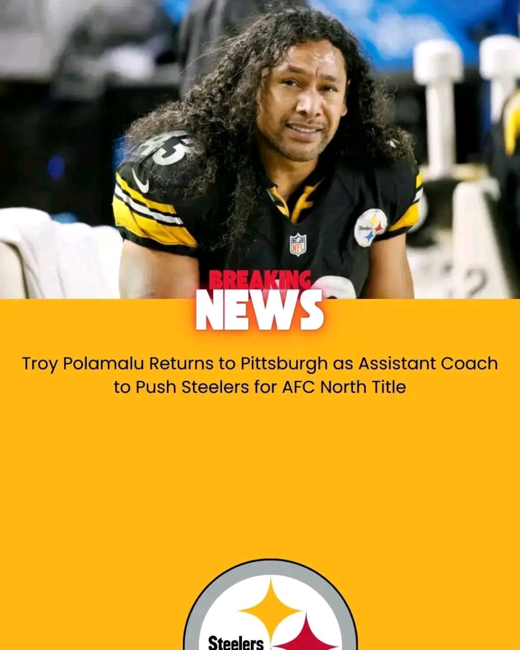 Breaking News: Troy Polamalu Returns to Pittsburgh as Assistant Coach to Push Steelers for AFC North …. MORE DETAILS