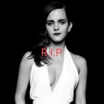 download (12) (4)