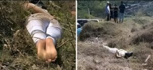 Woman Found Bound in Bush in Stoke-on-Trent Sparks Police Investigation…